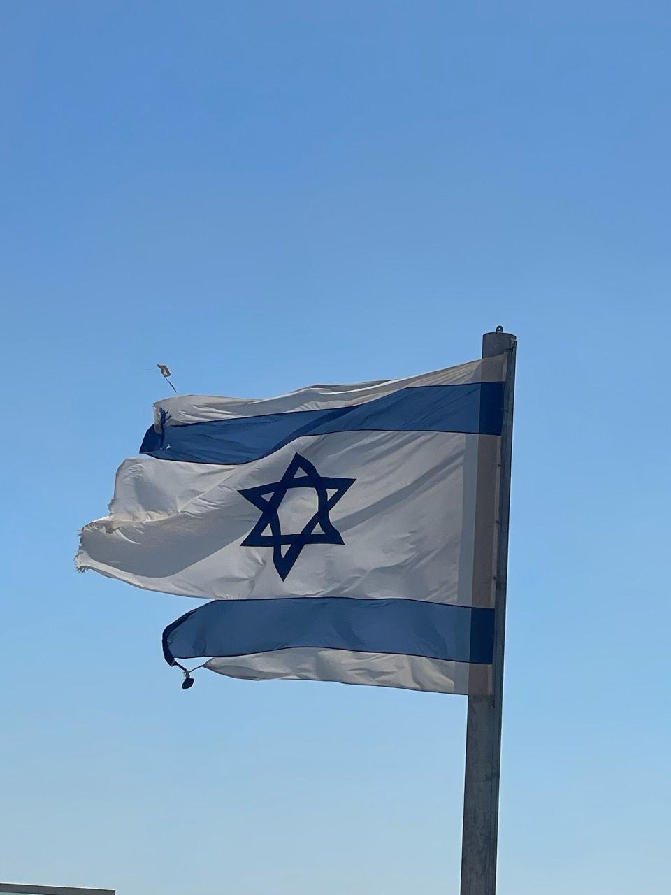 קבוצת אנשים חוגגת על הבמה